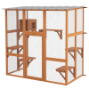 Cat House